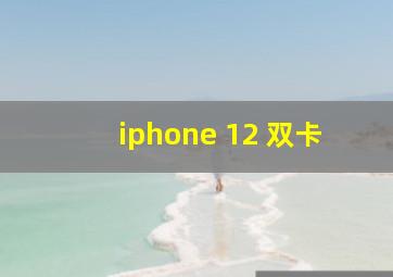 iphone 12 双卡